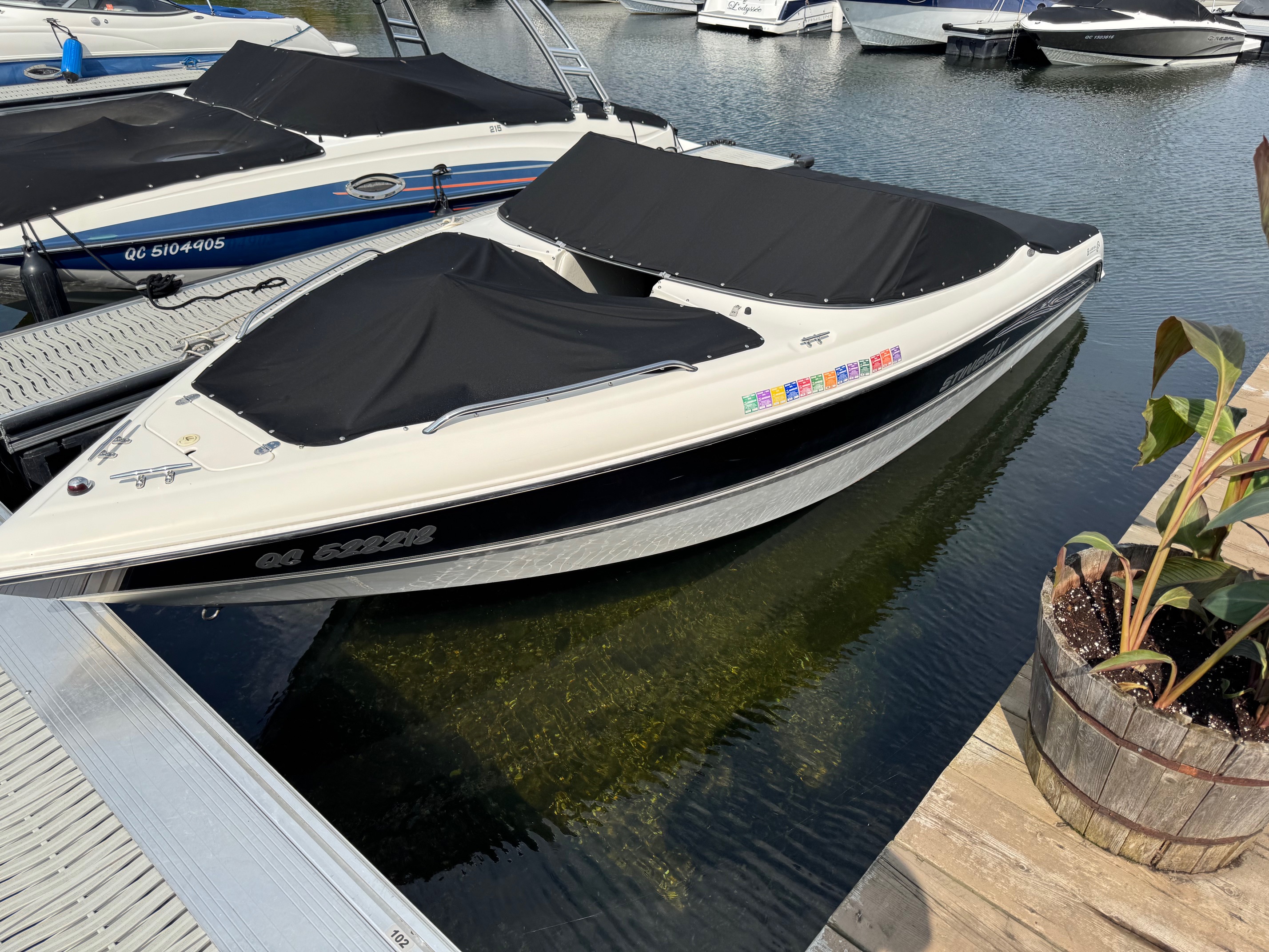 Stingray 220LX-image